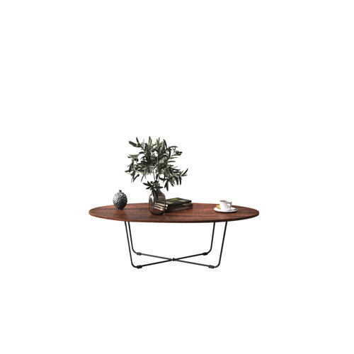 Wayfair Oval Coffee Tables You'll Love in 2023
